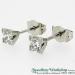 Platinum Princess Cut Diamond Earrings - view 1